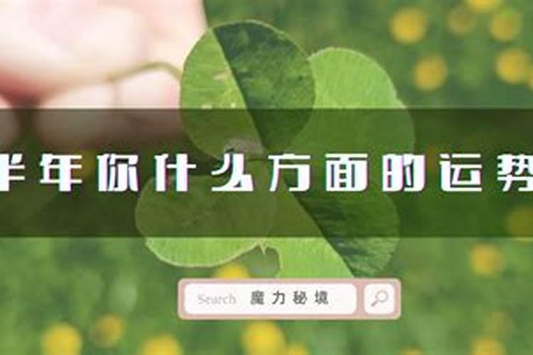 心理测试明年有什么好事