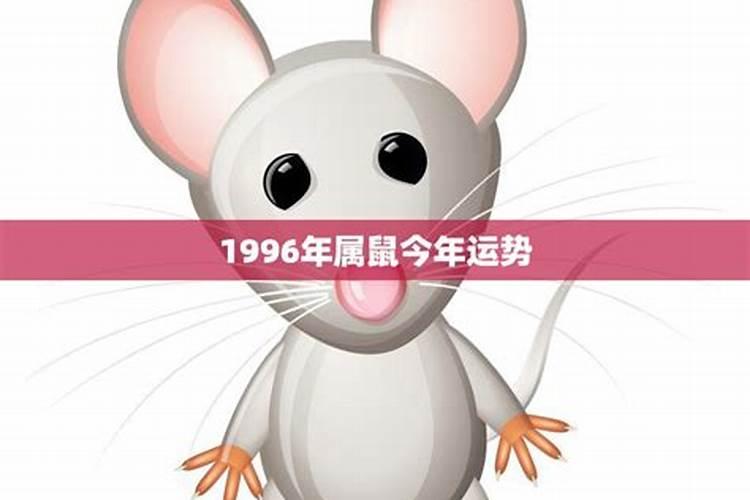 2025年属虎人的全年运势如何