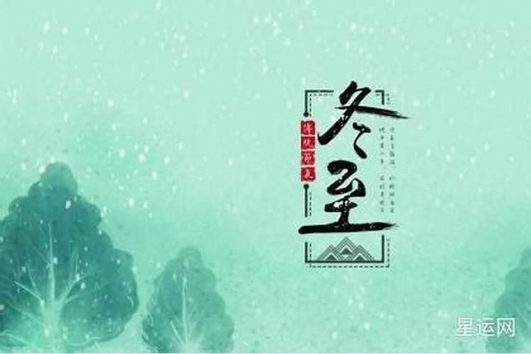 71年猪女在2025年的全年运势如何