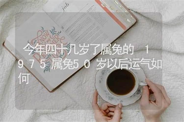 生肖兔2024年3月运势及运程如何