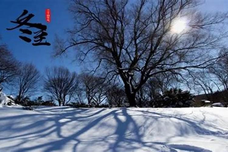 74年属虎人12月份财运