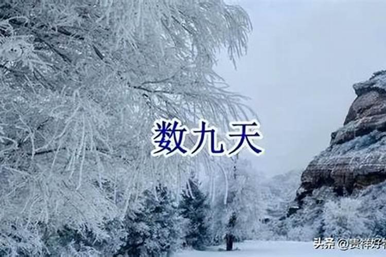 寒冬腊月为什么有9个9这个九个9是什么意思？