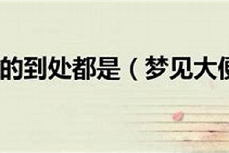 梦见老公拉屎预示什么