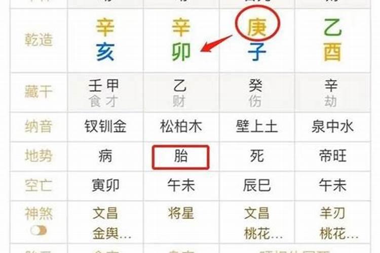 1987属兔十年大运时间 生肖兔2026年转大运？
