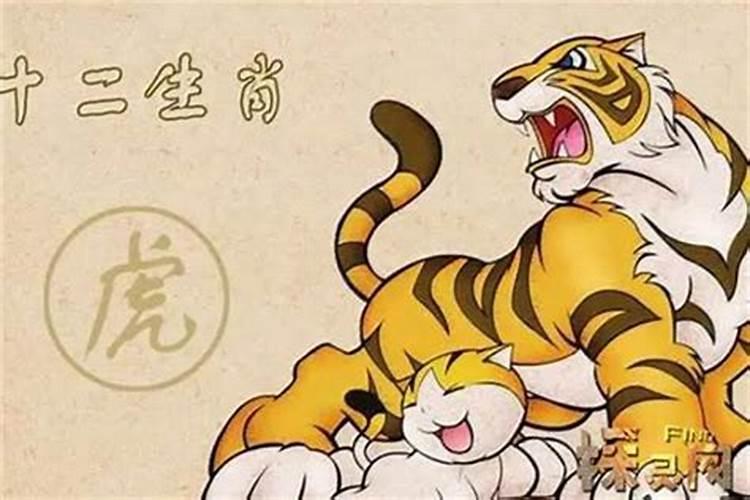 86年属虎最难的几年