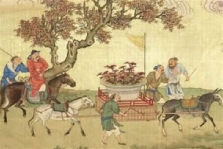 参加葬礼的禁忌
