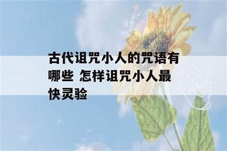 2025年范太岁的生肖有哪些