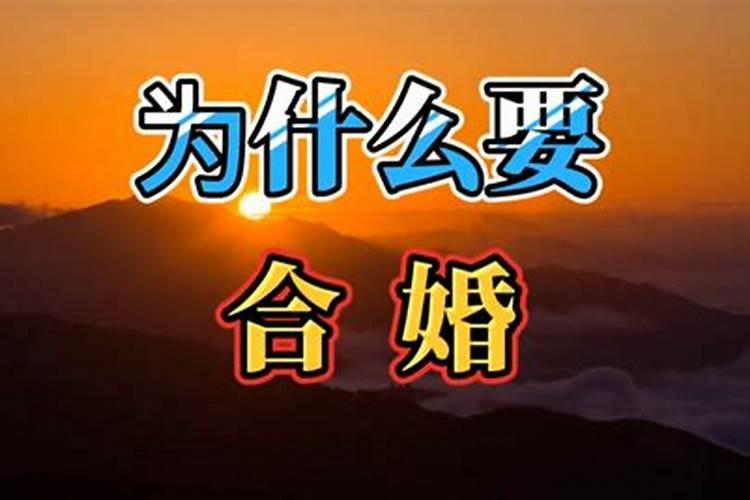 1970年属狗是什么命 1970年属狗人的终身运势命运