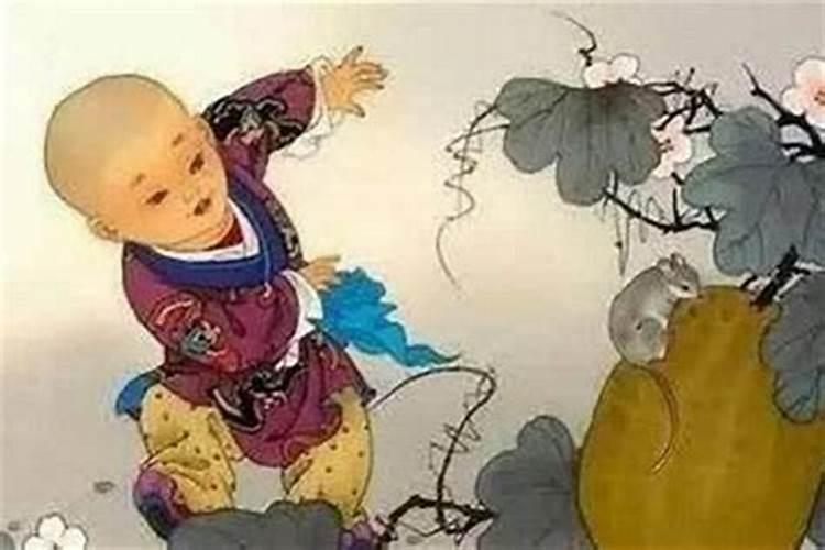 84年的鼠女2025年运势和财运怎么样