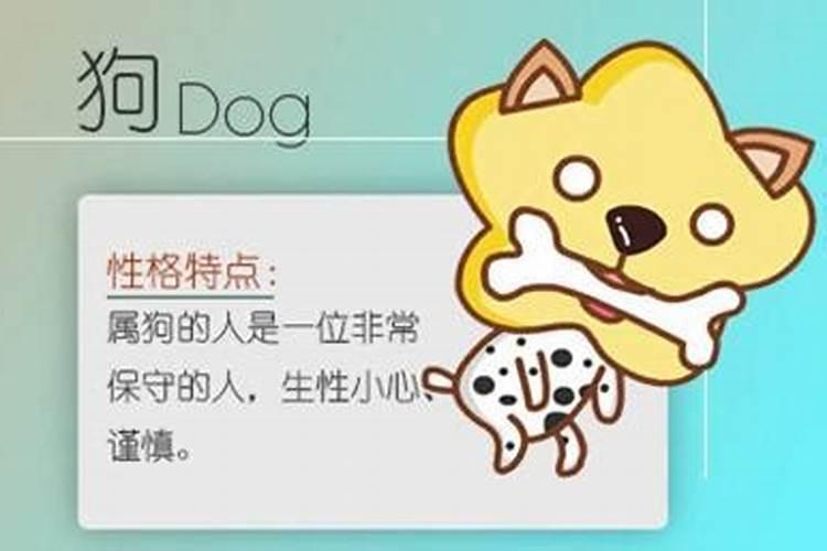合婚姻:属虎和属狗的八字配不配 能做夫妻吗