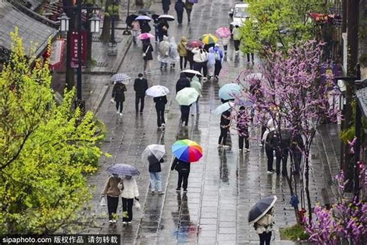 清明节适合去洛阳吗