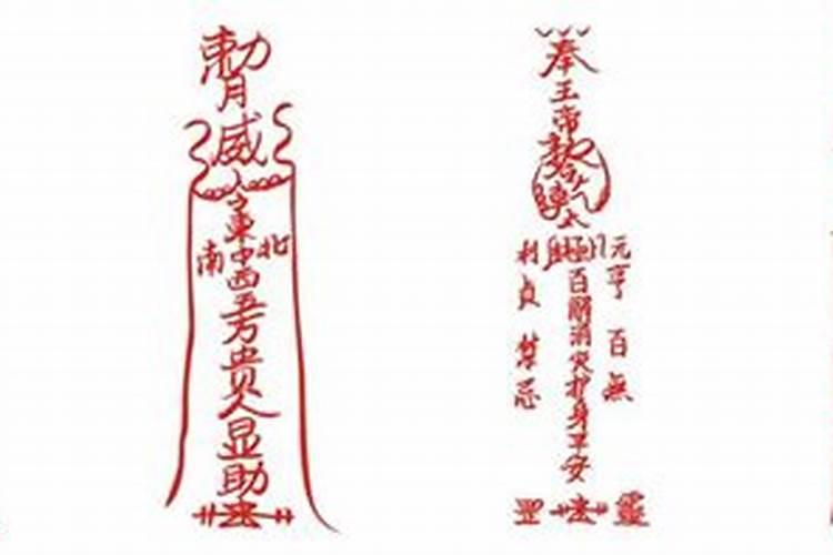 梦见猫老追我还甩不掉的预兆