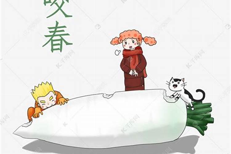 立春啃萝卜寓意什么