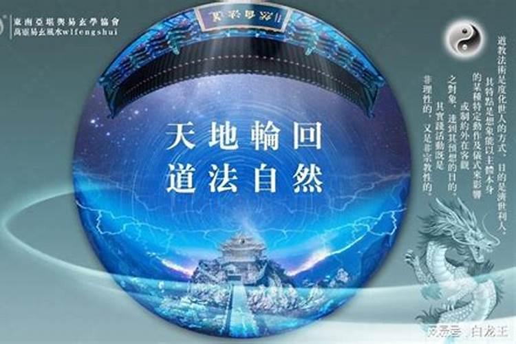24年属兔的总体运程每月运程详解
