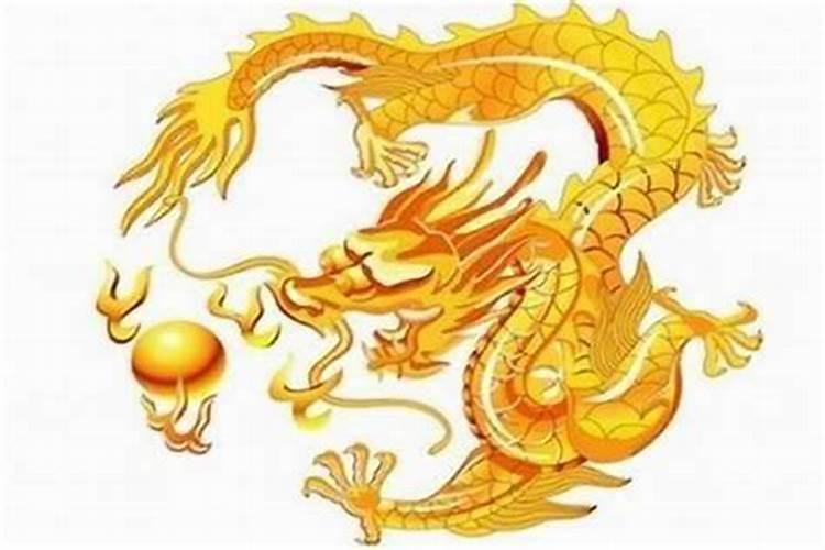 1988年属龙的2025年运势和财运怎么样