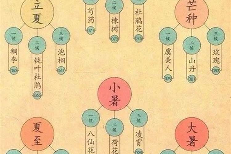 属龙的几月出生命不好