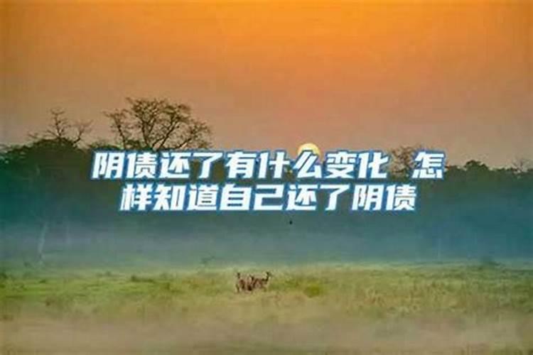 钱塘江大潮的利弊