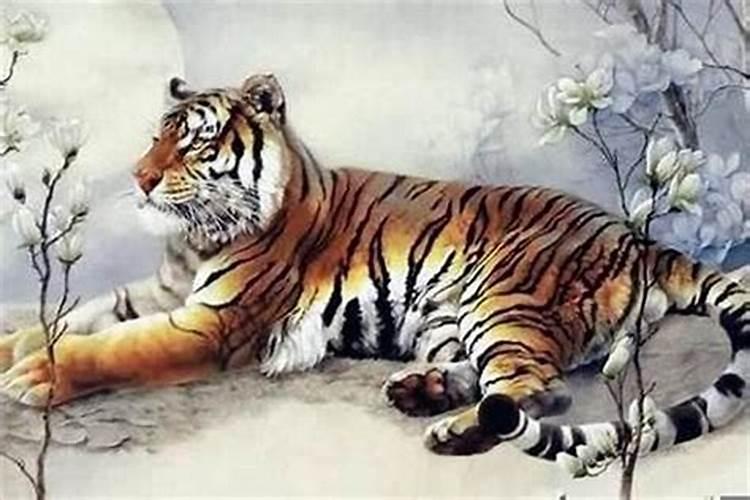 虎宝宝算命 2022年冬至出生的人好吗 五行缺什么？
