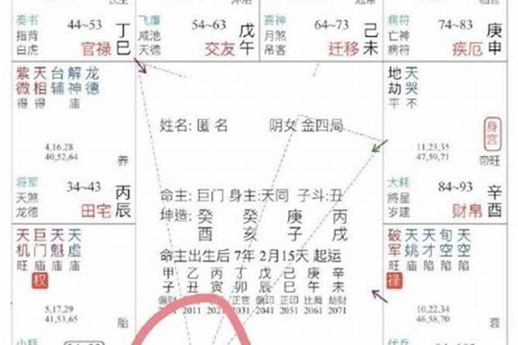 武贪格局 深度解析