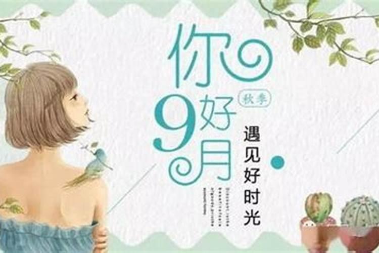 2002年属马的是什么命