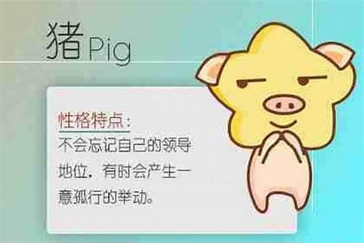 羊和马的属相适合做夫妻吗