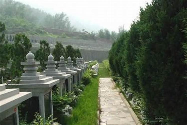 梦见果树是什么意思？做梦梦见果树好不好