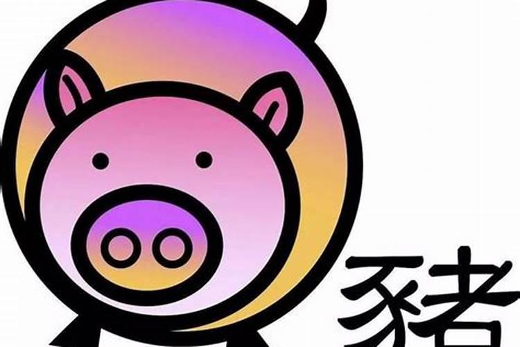 属鼠和属猪的八字不合吗？