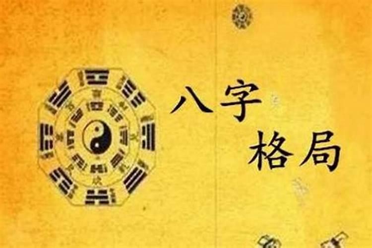 2025年是什么年什么命