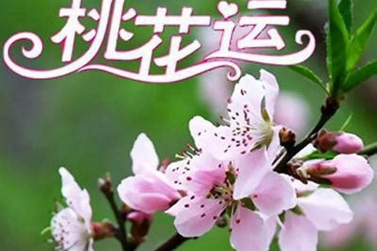 立春就是春节吗