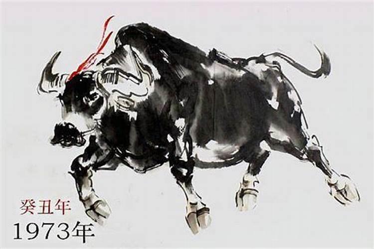 春节与立春是同一天吗？如果不是,那它们有什么区别？
