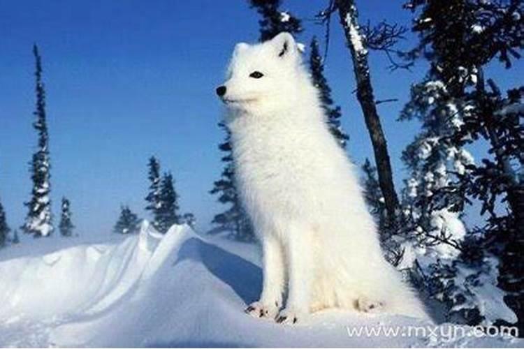文昌塔怎么自己开光