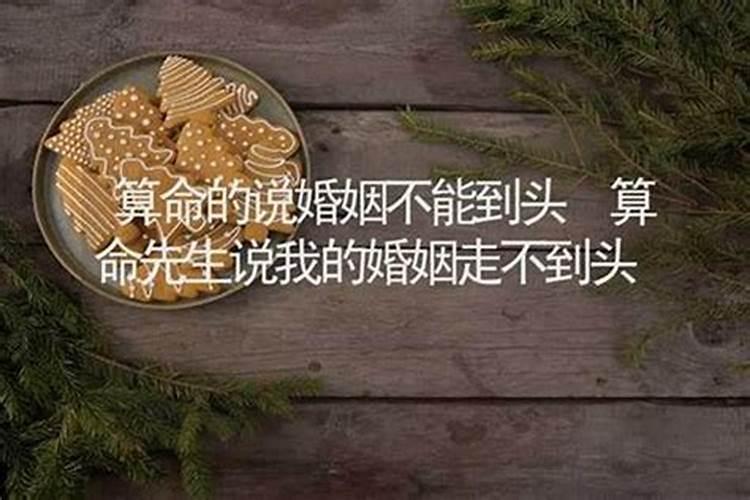 属马的2025年运势和财运怎么样