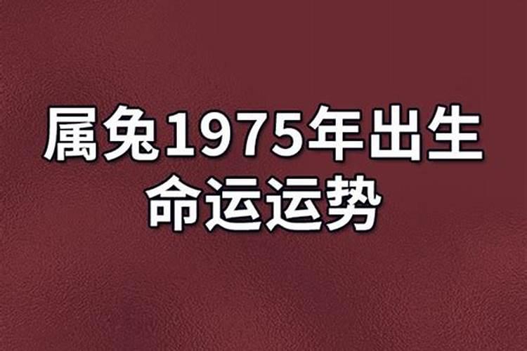 2025兔年运势及运程