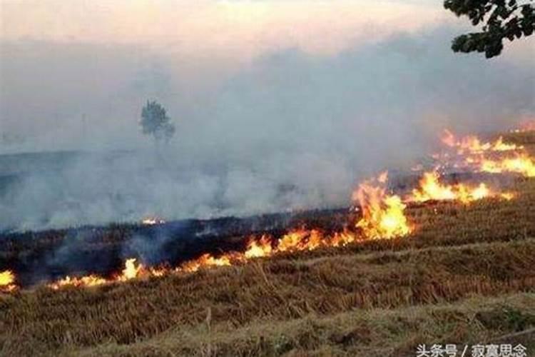 梦见坟墓着火扑灭是什么意思(梦见坟墓着火)