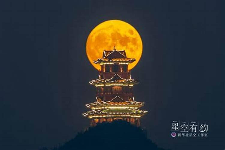 夏至是什么意思的简介