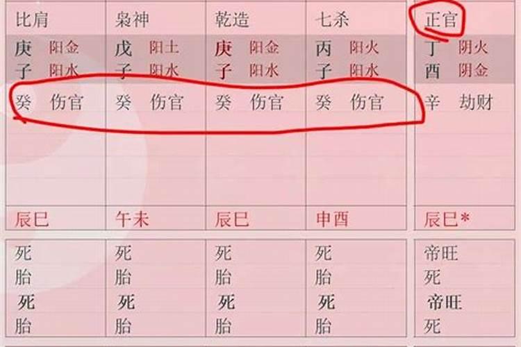 女人八字流年走伤官运会发生什么