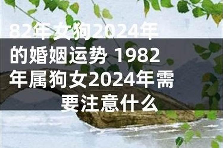 1982年属狗女婚姻最终归宿