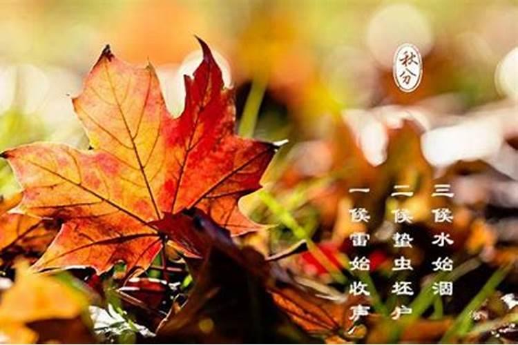 哈尔滨秋分吃什么 秋分节气的饮食习俗