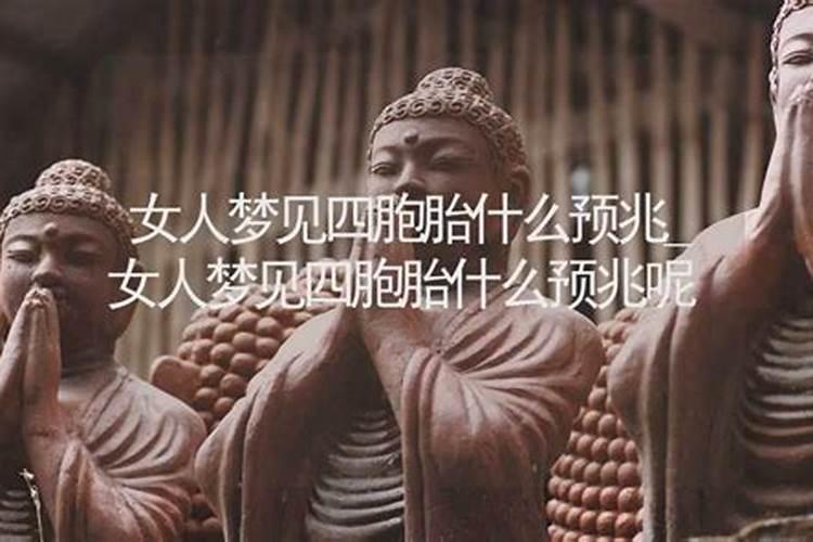 八字命理中三会局的含义是什么？