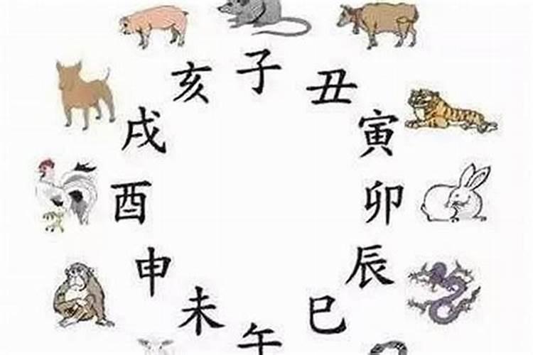双方五行合吗求解