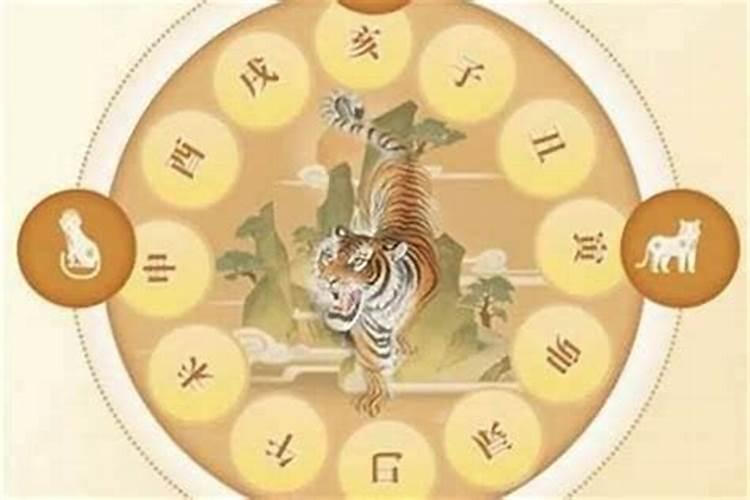 害太岁属虎怎么化解