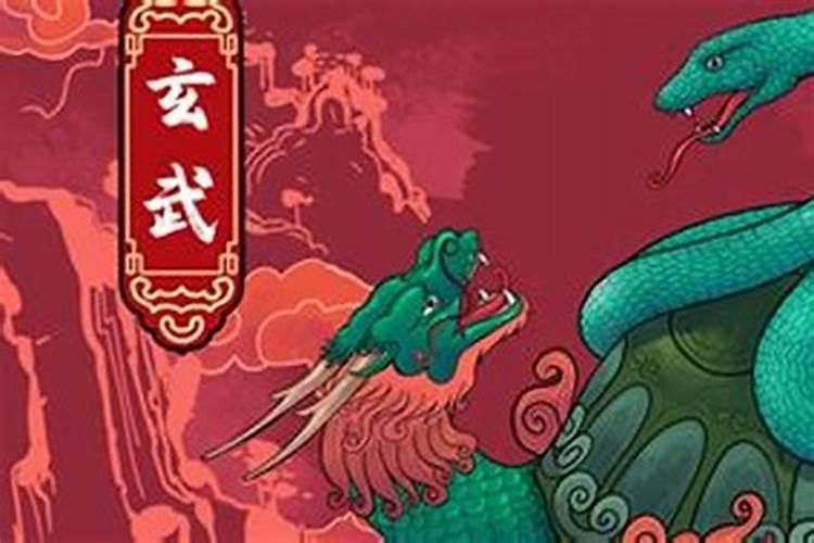 属猪身弱之人怎么补救