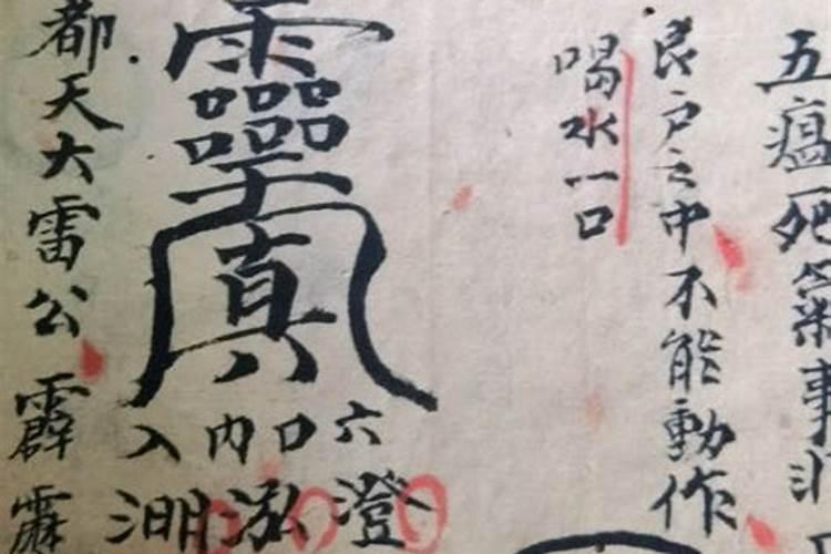 马蹄金烧纸的用途