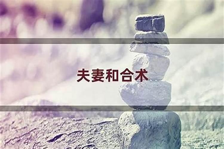 打掉了孩子要怎样回向给他呢佛教网