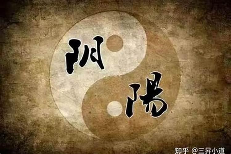 80年属猴人在2025年的每月运势