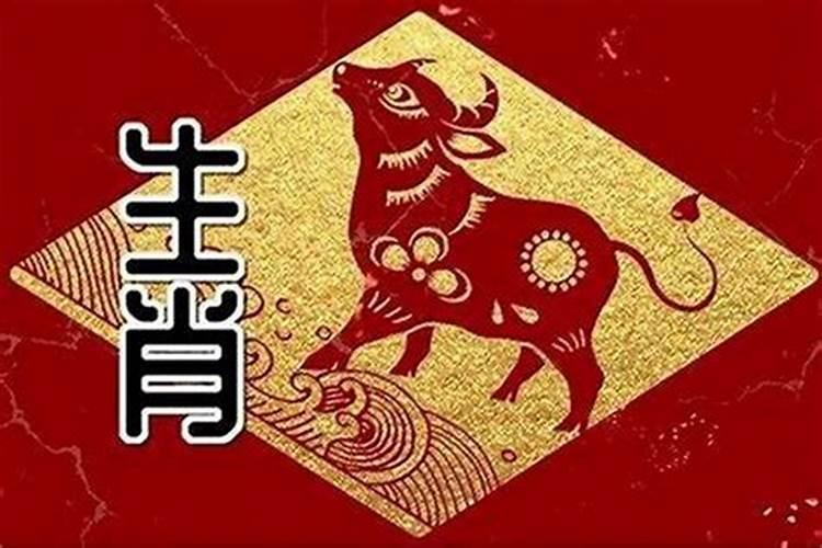属龙人和属猪人合财吗？
