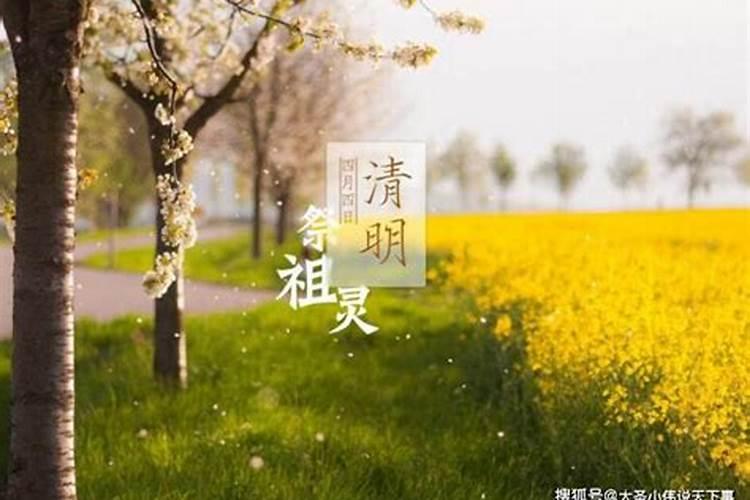八字太硬什么意思