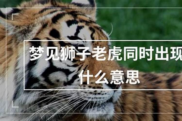 本命年要穿的红内裤一定要大红的吗