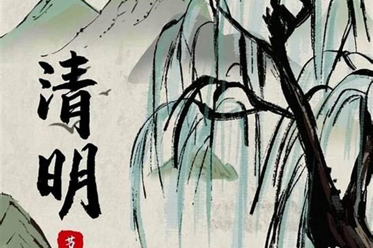 清明节去祭拜除了买纸钱之外还需买什么
