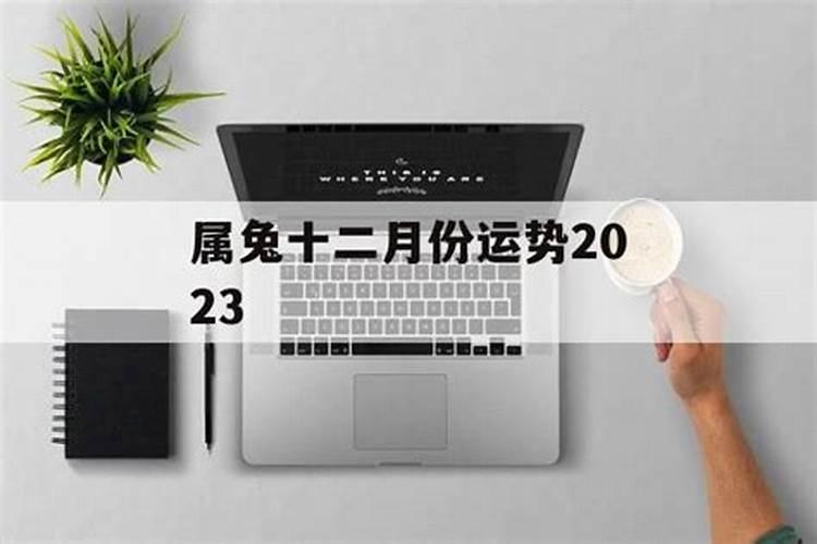 属兔12月份的运程和财运